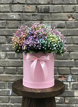 Цветочная композиция из Гипсофила и Розы в шляпной коробке в Верхнем Карачане