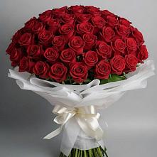 Букет 101 Красная роза Блэк Мэджик в Верхнем Карачане