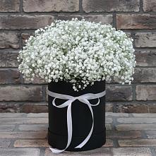 Цветочная композиция из Гипсофила в шляпной коробке #REPLACE_PRED# Верхнем Карачане