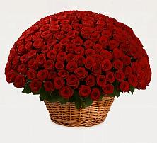 Премиум букет из: Розы в Верхнем Карачане